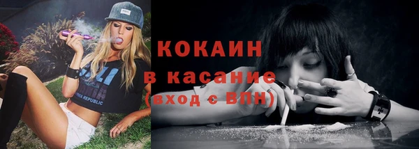 дживик Верея