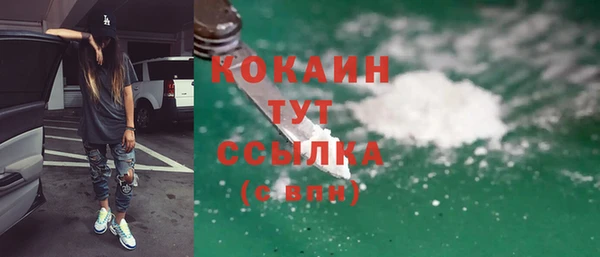 дживик Верея